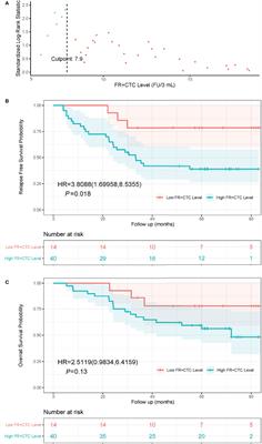 Preoperative Folate Receptor-Positive Circulating Tumor Cell Level Is a Prognostic Factor of Long Term Outcome in Non-Small Cell Lung Cancer Patients
